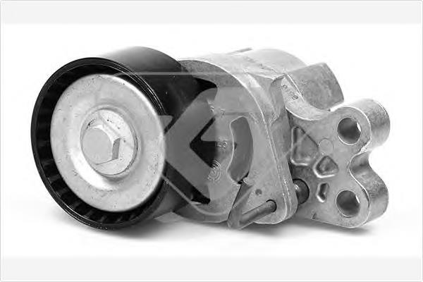 Натяжной ролик Hutchinson T0071 цена, от 13.83 USD