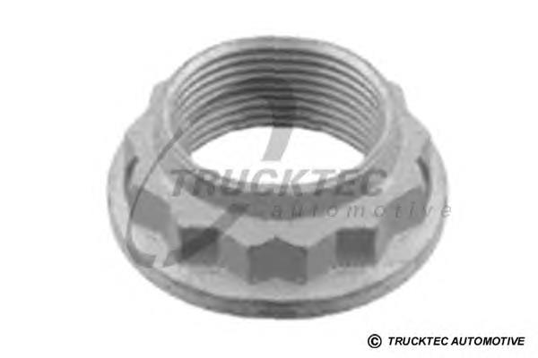 Porca de cubo traseiro 0832053 Trucktec