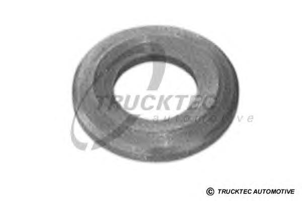 02.10.070 Trucktec anel (arruela do injetor de ajuste)
