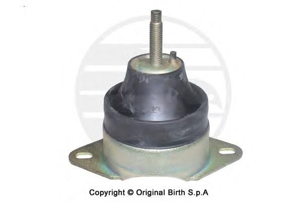 50552 Birth coxim (suporte direito de motor)