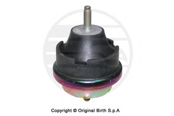 50546 Birth coxim (suporte direito de motor)