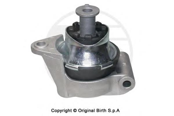 50490 Birth coxim (suporte traseiro de motor)