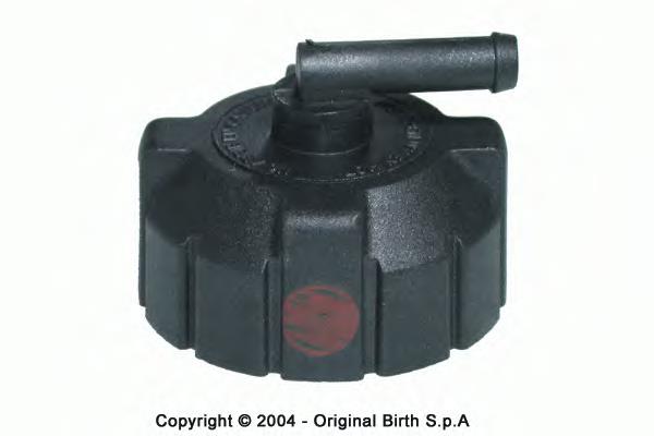 Tampa (tampão) do tanque de expansão Iveco Daily