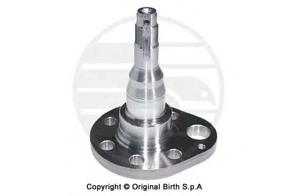Цапфа - поворотный кулак задний, левый Birth 3379 цена, от 14.54 USD