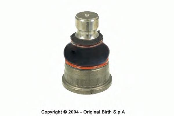 CX0020 Birth suporte de esfera inferior