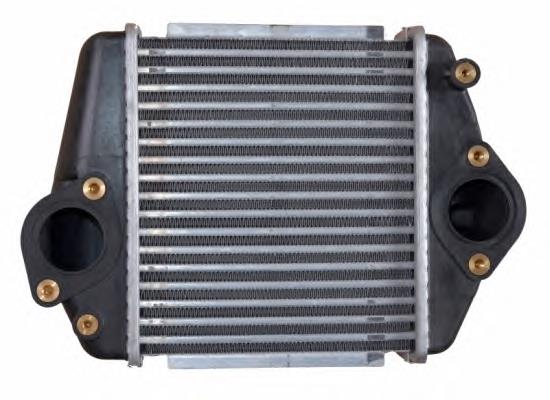 Radiador de intercooler NRF 30360