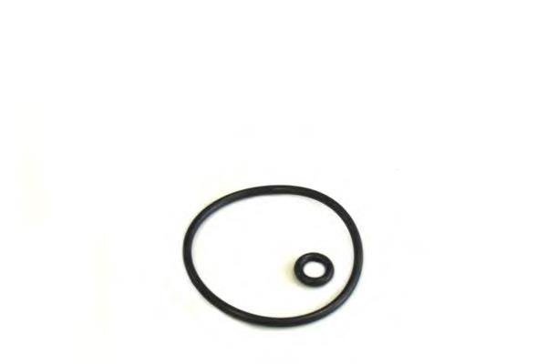 Filtro de óleo REC140042 Rider