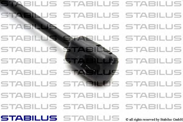 0421VG Stabilus