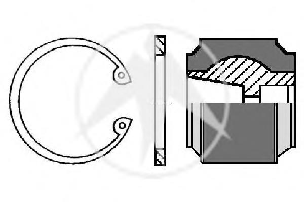 491596 Diesel Technic