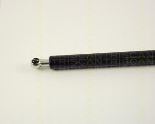 Amortecedor de tampa de porta-malas (de 3ª/5ª porta traseira) Triscan 871038211