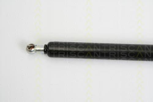 Amortecedor de tampa de porta-malas (de 3ª/5ª porta traseira) Triscan 871038225