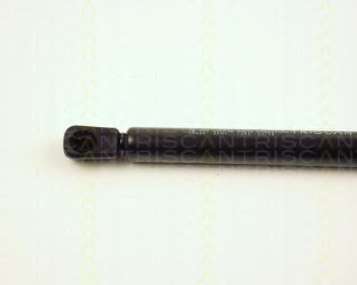 Amortecedor de tampa de porta-malas (de 3ª/5ª porta traseira) ZS00008 Japan Parts