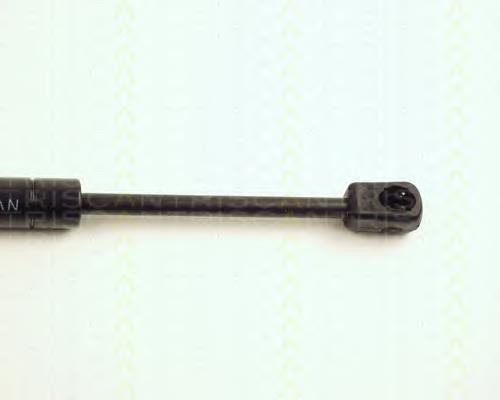 Amortecedor de tampa de porta-malas (de 3ª/5ª porta traseira) ZS00008 Japan Parts