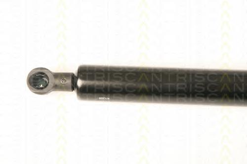 Амортизатор багажника 871028238 Triscan
