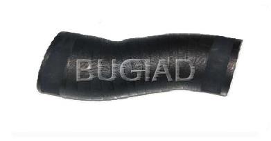 81629 Bugiad mangueira (cano derivado superior de intercooler)