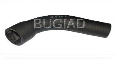 81633 Bugiad mangueira (cano derivado direita de intercooler)