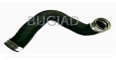 81609 Bugiad mangueira (cano derivado direita de intercooler)