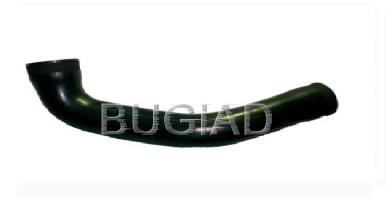 81608 Bugiad mangueira (cano derivado direita de intercooler)