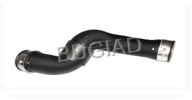 81601 Bugiad mangueira (cano derivado inferior direita de intercooler)