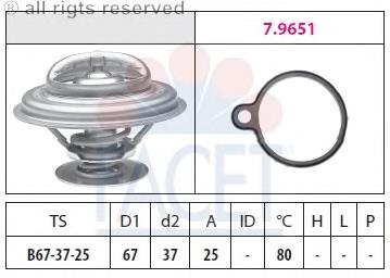 7.8613 Facet termostato