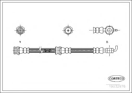 19032976 Corteco