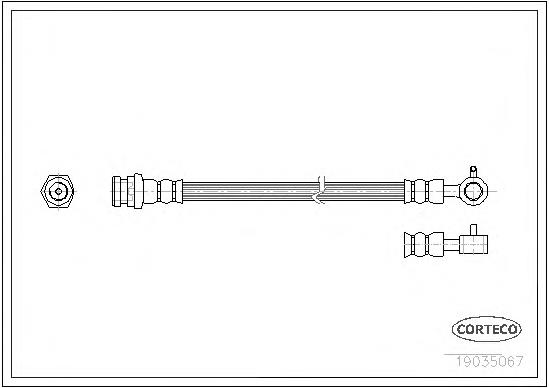 19035067 Corteco