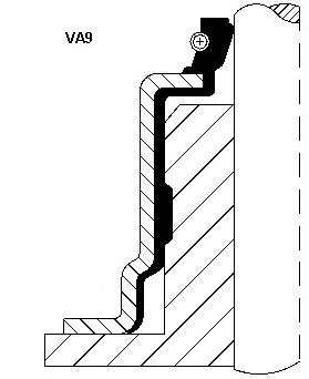 Vedação de válvula (de óleo) de escape para Ford Escort (GAL)