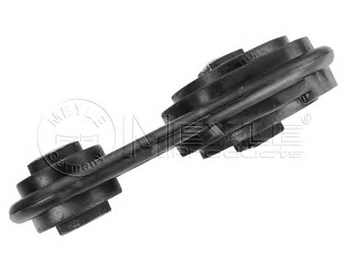 Coxim (suporte) dianteiro de motor Renault Megane 2 LM0, LM1