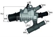 TI16888 Mahle Original