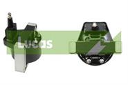 DLB204 Lucas