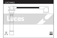 LUC4462 Lucas