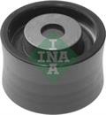 532009310 INA