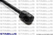 0421VG Stabilus