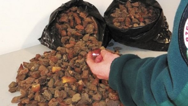 Заворушення на Рівненщині: сотні бурштинокопачів із палицями та камінням напали на поліцію