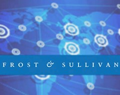 Эксперты Frost & Sullivan рассказали о важности цифровой торговли