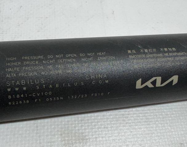 81841CV100 Амортизатор багажника купить Винница