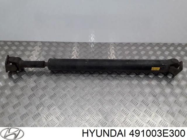 491003E300 HYUNDAI Вал карданный задний, в сборе купить в Николаев