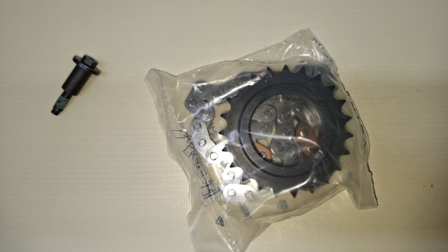 150A06727R RENAULT Цепь масляного насоса, комплект купить в Тернополь