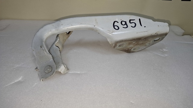 654019784R RENAULT Петля капота левая купить в Украина