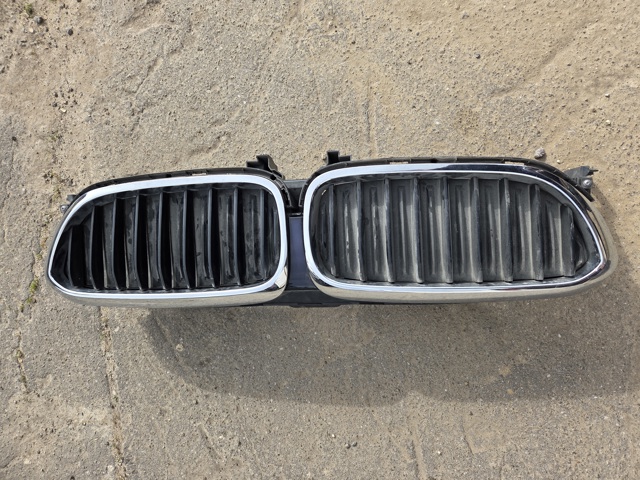 Решетка радиатора 51747497279 BMW