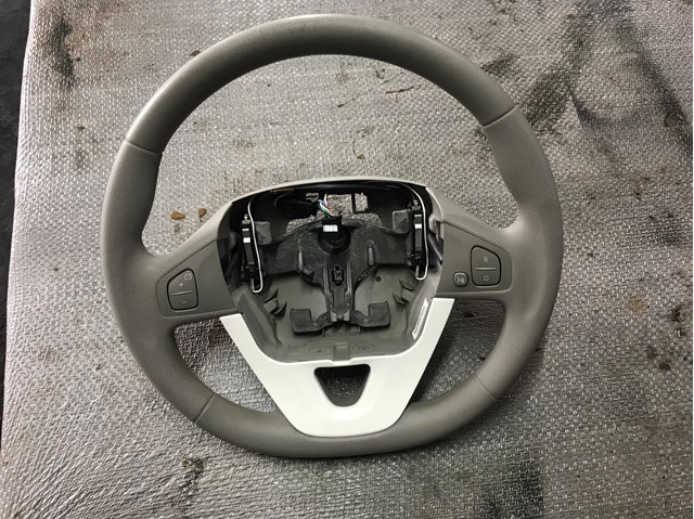 RENAULT 985106096R в наличии Запорожье