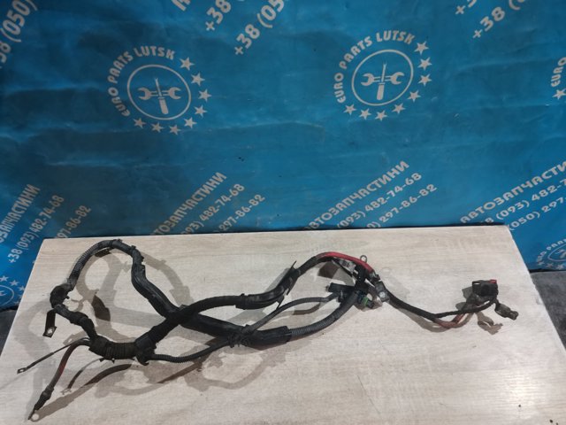 OPEL 55559512 в наличии Запорожье