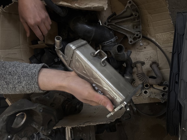 Радиатор системы EGR 03L131512C VAG
