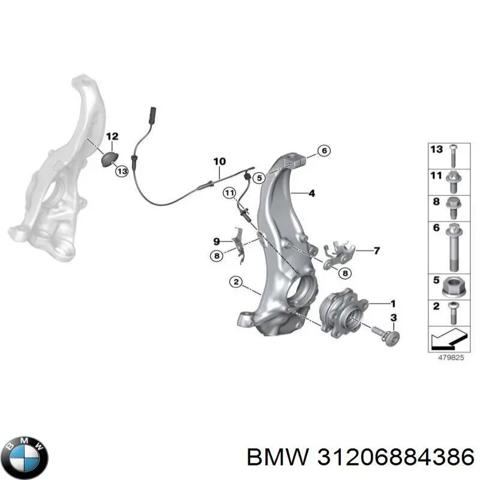 31206884386 BMW Цапфа (поворотный кулак) передний правый купить в Черновцы