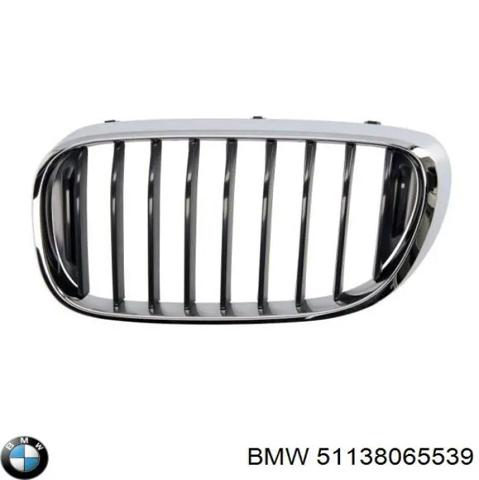 BMW 51138065539 Решетка радиатора в наличии Украина