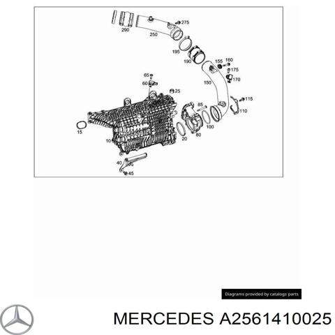 A2561410025 MERCEDES Дроссельная заслонка в сборе купить в Черкассы