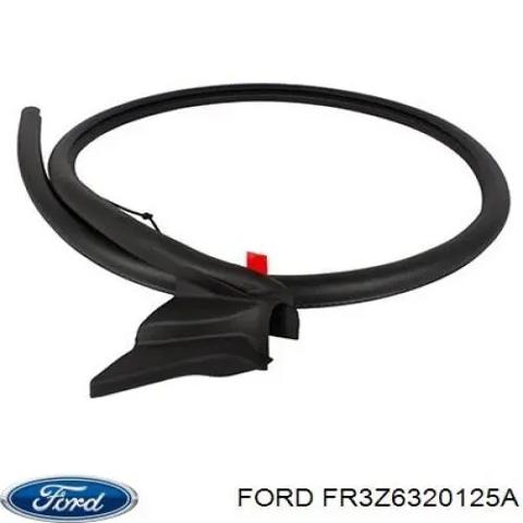Водительская дверь FR3Z6320125A FORD