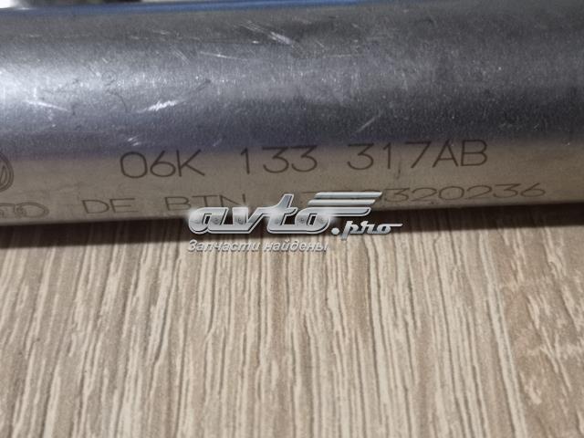 Распределитель топлива (рампа) 06K133317AB VAG