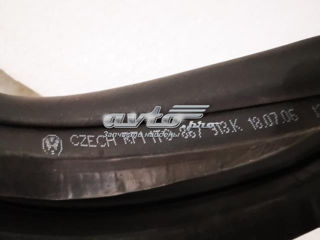 1T0867913L9B9 Уплотнитель двери задней (на кузове) купить Ровно