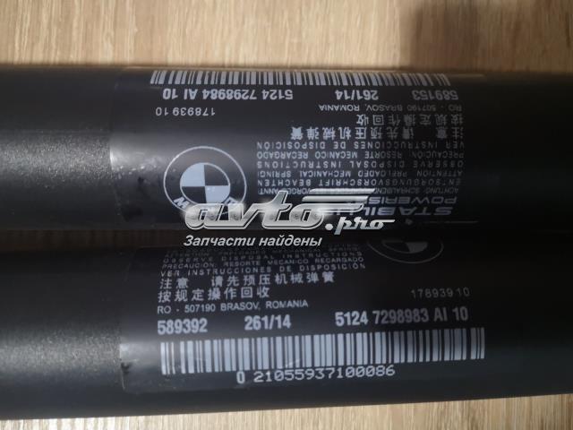 BMW 51247298983 Амортизатор крышки багажника (двери 3/5-й задней) в наличии Кривой Рог